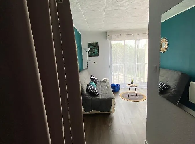 公寓 Le Pharo Avec Piscine 阿格德