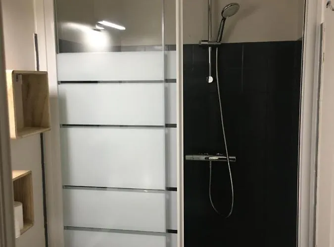 Le Pharo Avec Piscine * 阿格德