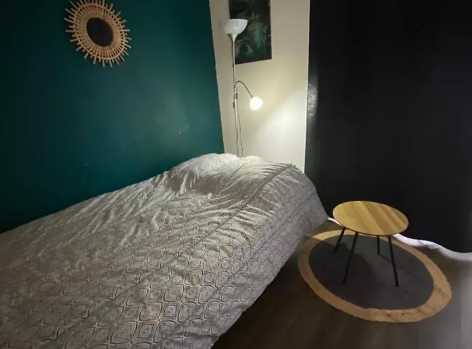 公寓 Le Pharo Avec Piscine 阿格德